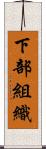 下部組織 Scroll