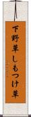 下野草 Scroll