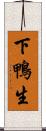 下鴨生 Scroll