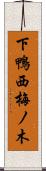 下鴨西梅ノ木 Scroll