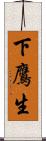 下鷹生 Scroll
