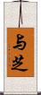 与芝 Scroll