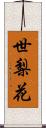 世梨花 Scroll