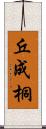 丘成桐 Scroll