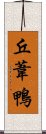 丘葦鴨 Scroll