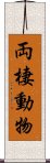 両棲動物 Scroll