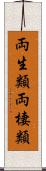 両生類 Scroll