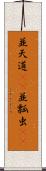 並天道(rK) Scroll