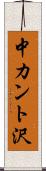 中カント沢 Scroll