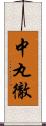 中丸徹 Scroll