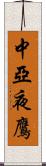 中亞夜鷹 Scroll