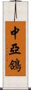 中亞鴿 Scroll