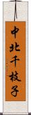 中北千枝子 Scroll