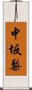 中坂梨 Scroll