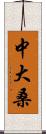 中大桑 Scroll