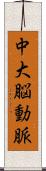 中大脳動脈 Scroll