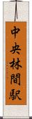 中央林間駅 Scroll