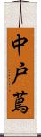 中戸蔦 Scroll