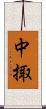 中掫 Scroll