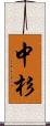 中杉 Scroll