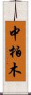 中柏木 Scroll