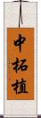 中柘植 Scroll