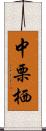 中栗栖 Scroll