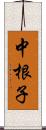 中根子 Scroll