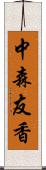 中森友香 Scroll