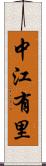中江有里 Scroll