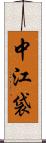 中江袋 Scroll