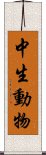 中生動物 Scroll