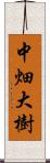 中畑大樹 Scroll