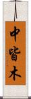 中皆木 Scroll