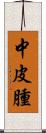 中皮腫 Scroll