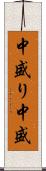 中盛り Scroll