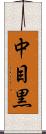中目黒 Scroll