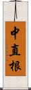 中直根 Scroll