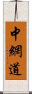 中網道 Scroll