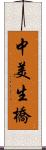 中美生橋 Scroll