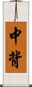 中背 Scroll