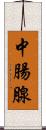 中腸腺 Scroll