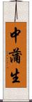 中蒲生 Scroll