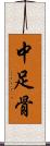 中足骨 Scroll