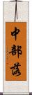 中部落 Scroll