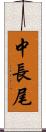 中長尾 Scroll