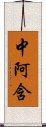 中阿含 Scroll