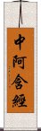 中阿含經 Scroll