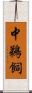 中鵜飼 Scroll