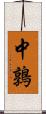 中鶉 Scroll